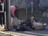 14-dec-2011 mr pink from the hotel henry illegally dumps trash on natoma